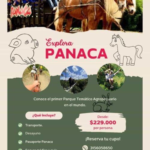 Panaca