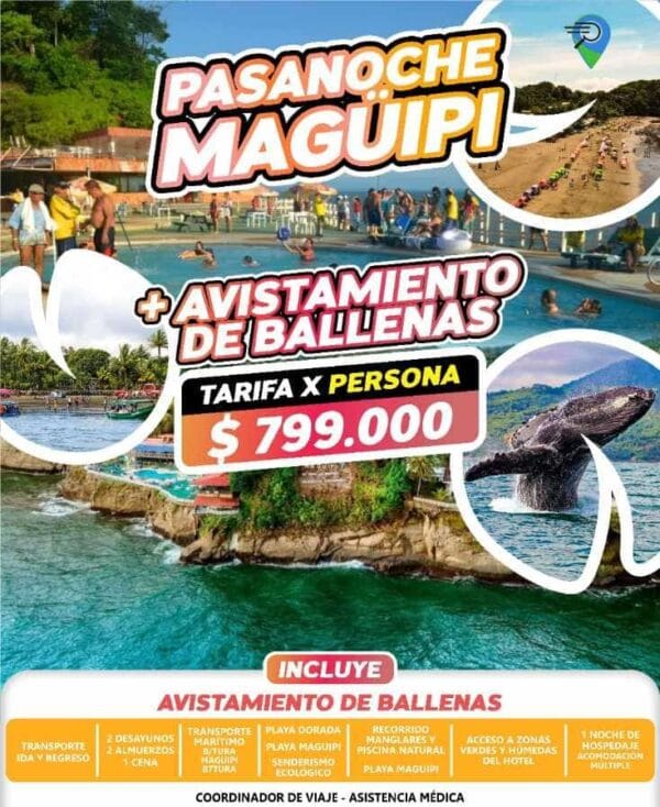 Pasanoche Maguipi + Ballenas Ballenas/Magüipi