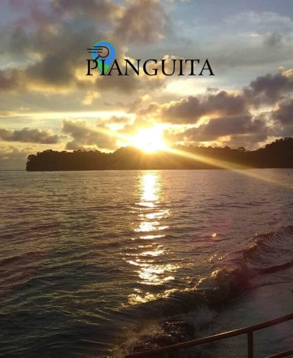 Pianguita Piangüita
