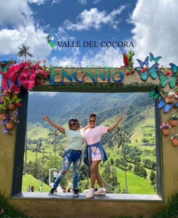 Valle del Cocora Salento 3D