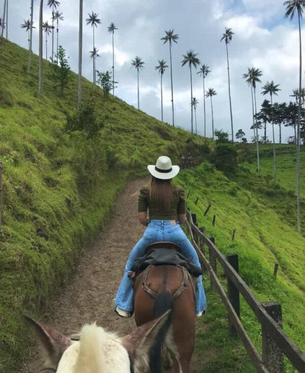 cabalgata cocora Salento 3D