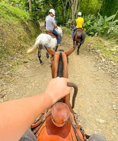 caballo Panaca