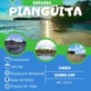 Piangüita