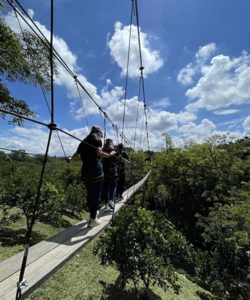 puente Panaca